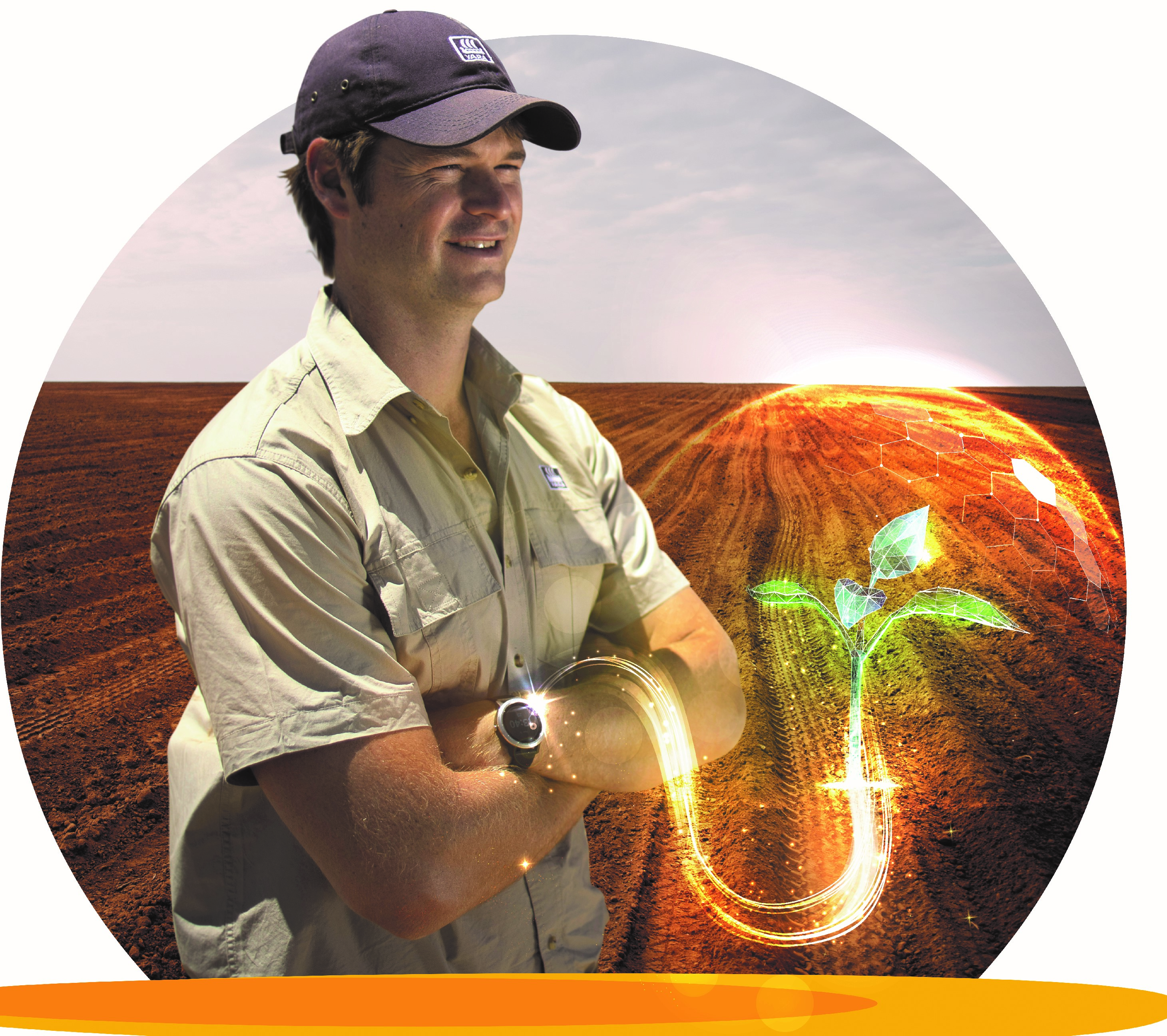 AllFarm Digital Transformation